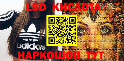 ПСИЛОЦИБИНОВЫЕ ГРИБЫ Дубна