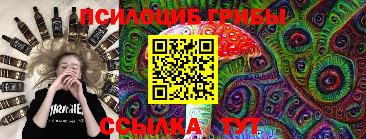 Псилоцибиновые грибы Cubensis Гагарин